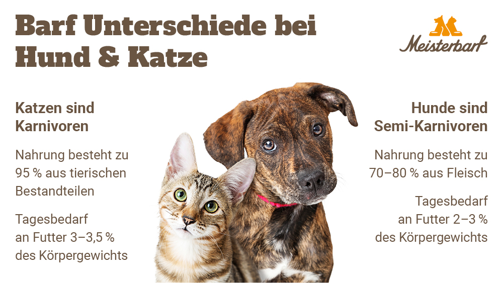 Dieses Bild zeigt die Barf Unterschiede bei Hund und Katze.