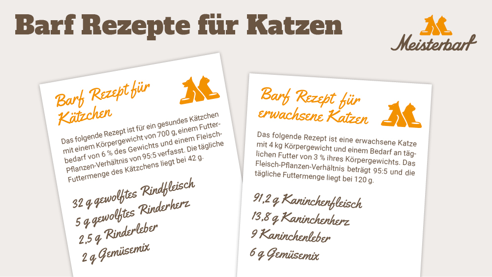 Dieses Bild zeigt zwei Barf-Rezepte für Katzen. Einmal für ein Kätzchen und einmal für eine erwachsene Katze.