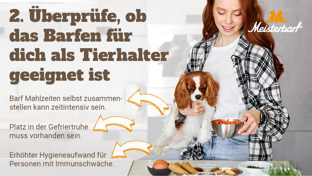 Eine Frau steht mit ihrem Hund auf dem Arm in der Küche und bereitet für ihn oder sie eine Barf Mahlzeit vor.