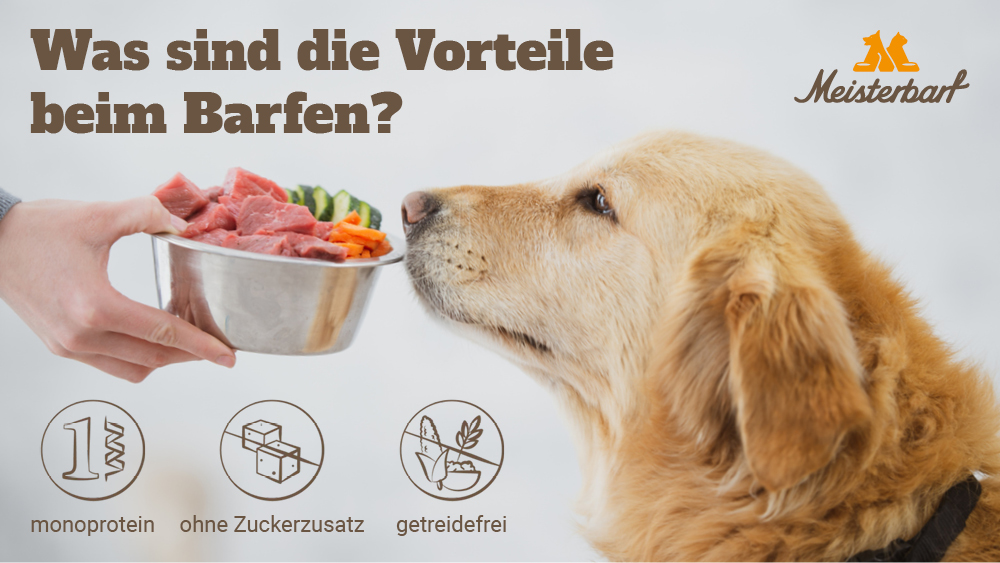 Dieses Bild erklärt die Vorteile des Barfens: monoprotein, zuckerfrei, getreidefrei.