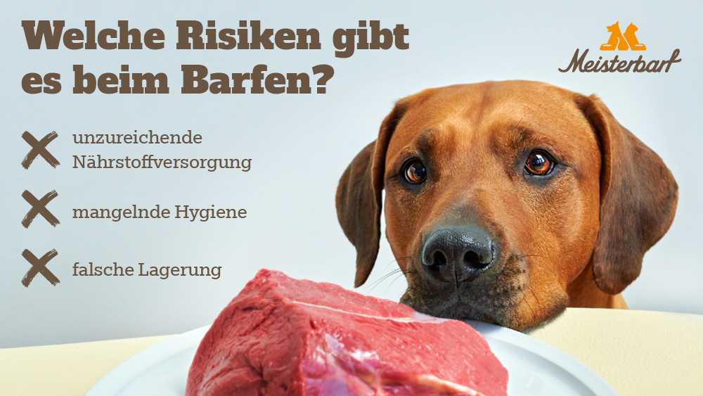 Dieses Bild geht auf die Risiken beim Barfen ein.