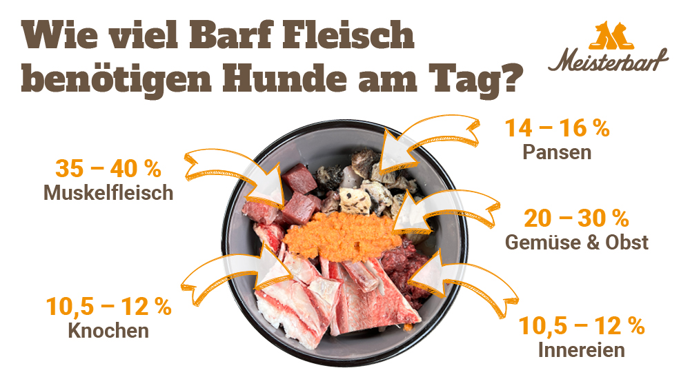Hier zeigen wir wie sich eine Barf Futterration prozentual zusammensetzt.