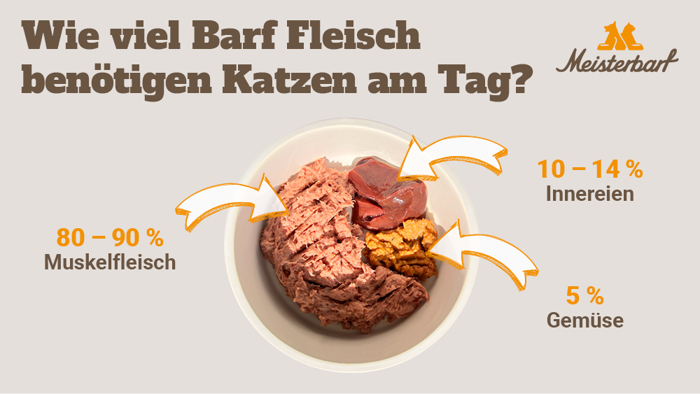 Hier sehen Sie einen Futternapf mit den wesentlichen Bestandteilen eines Barf Menüs für Katzen: Muskelfleisch, Innereien und Gemüse.