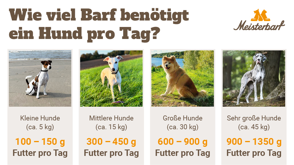 Hier sind 4 verschieden grosse und schwere Hunde abgebildet mit der optimalen Barf Futtermenge.