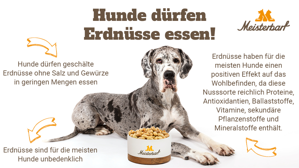Diese Grafik zeigt einen Hund mit einem Napf voller Erdnüsse.