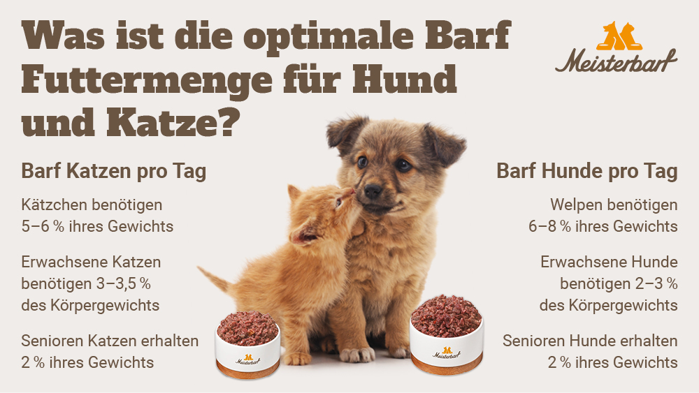 Dieses Bild zeigt was die optimale Barf Futtermenge für Hund und Katze ist.