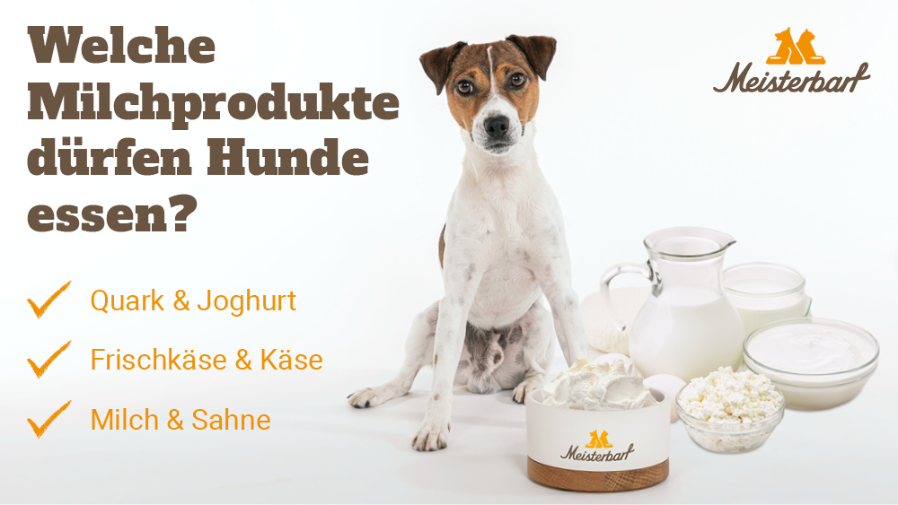 Auf diesem Bild sehen Sie, welche Miclhprodukte ausgewachsene Hunde essen dürfen.