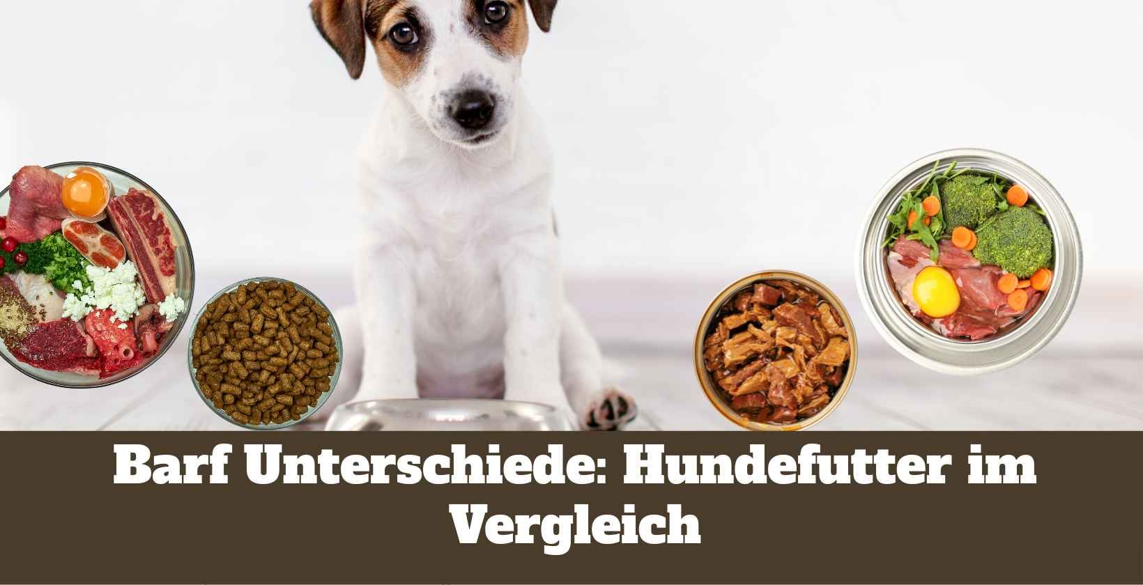 hundespielzeug knochen nachhaltiges Hundespielzeug Knochen Kurt mit Seil