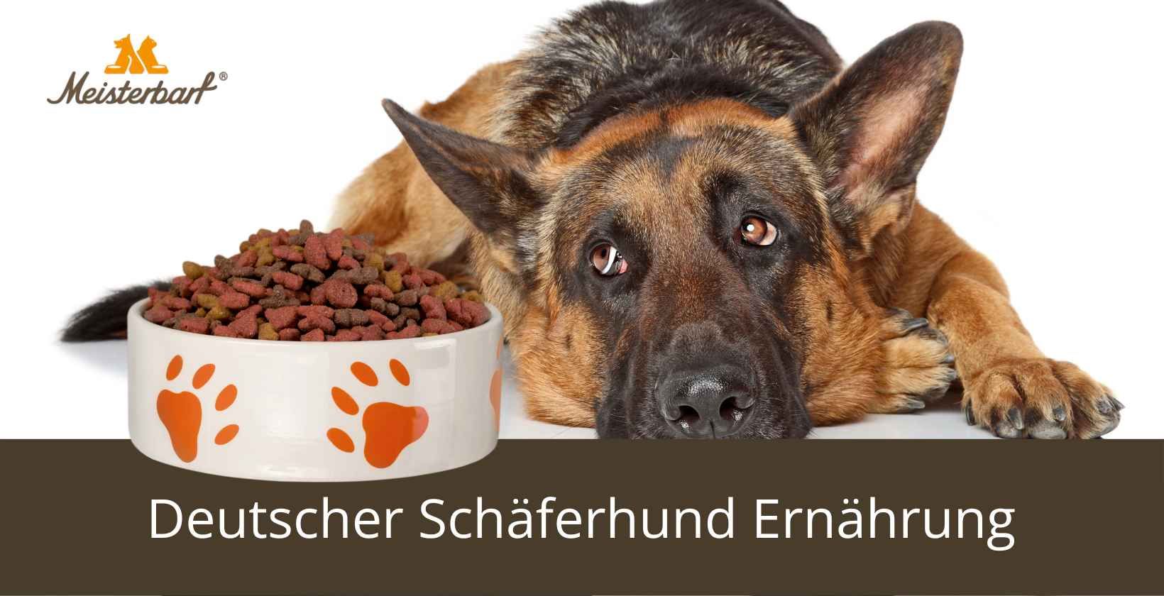 Deutscher Schferhund Ernhrung: Arten & Mengen Tabellen