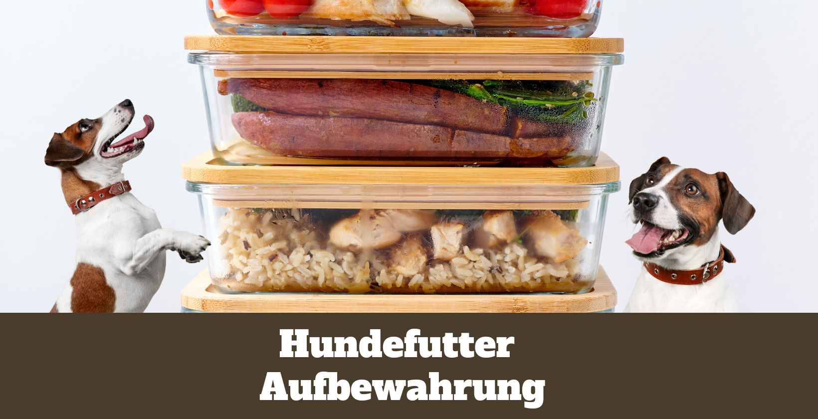 Hundefutter Aufbewahrung: Wie sollte man Hundefutter lagern?