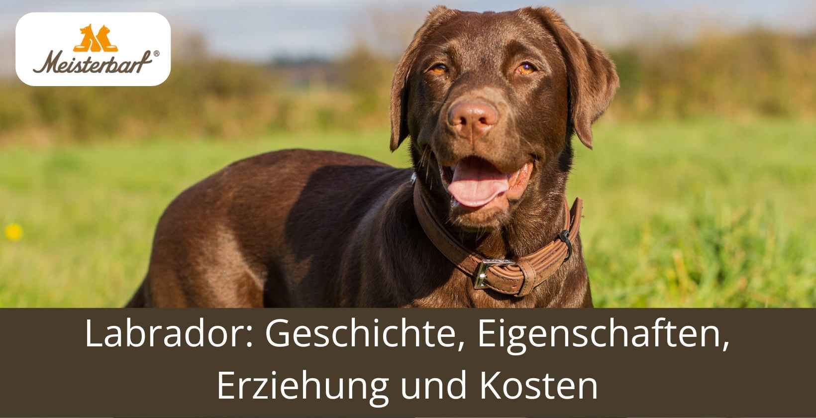 Wunderschne Was Kostet Ein Lwechsel Fotos