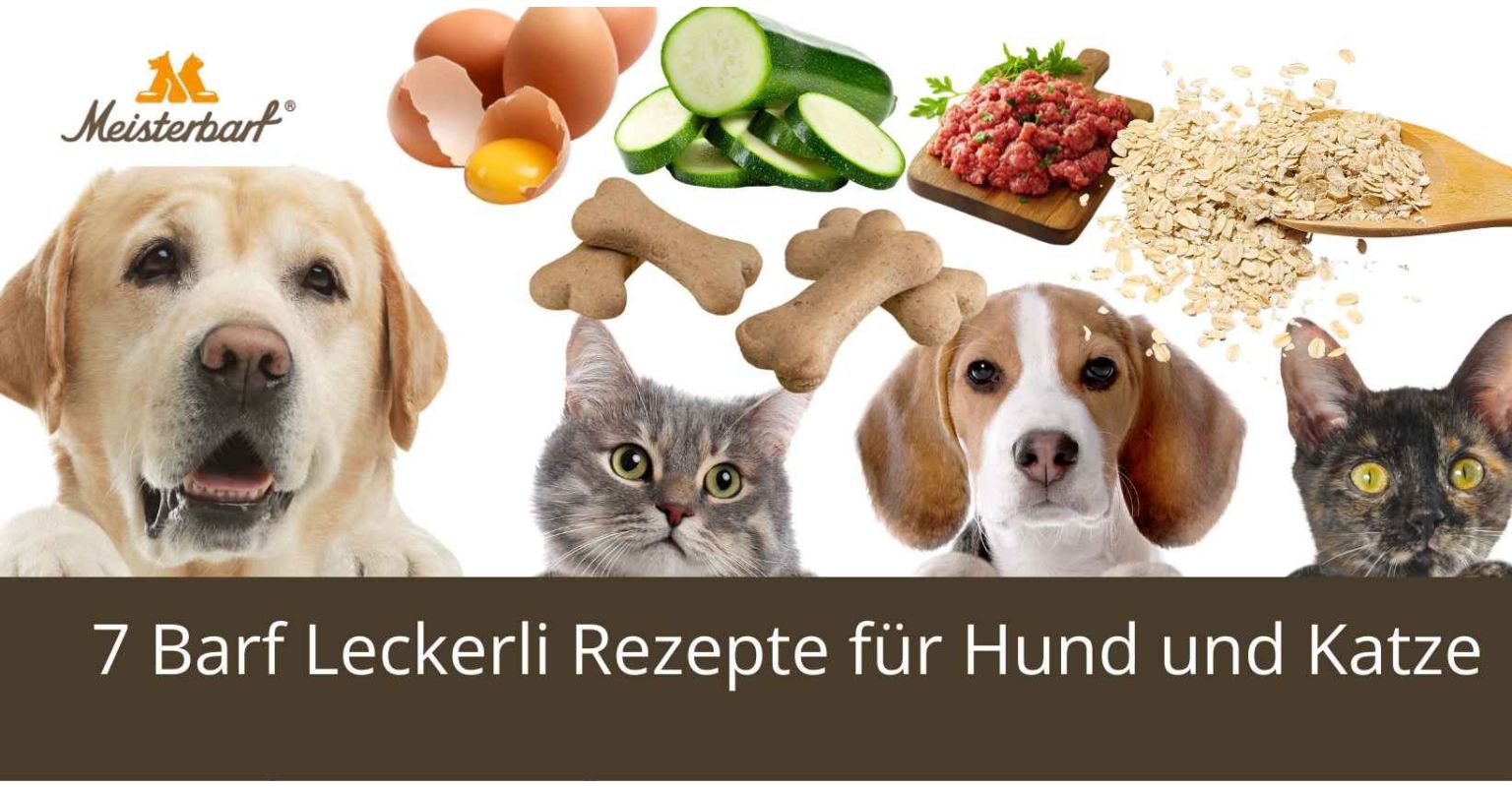 7 Barf Leckerli Rezepte für Hund und Katze