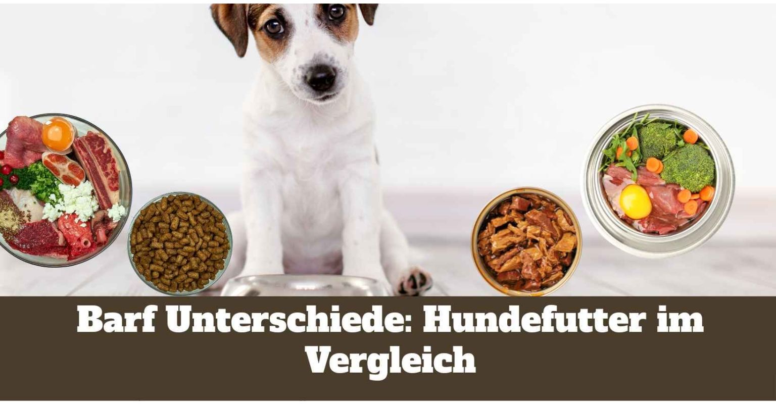 Barf Unterschiede: Hundefutter im Vergleich