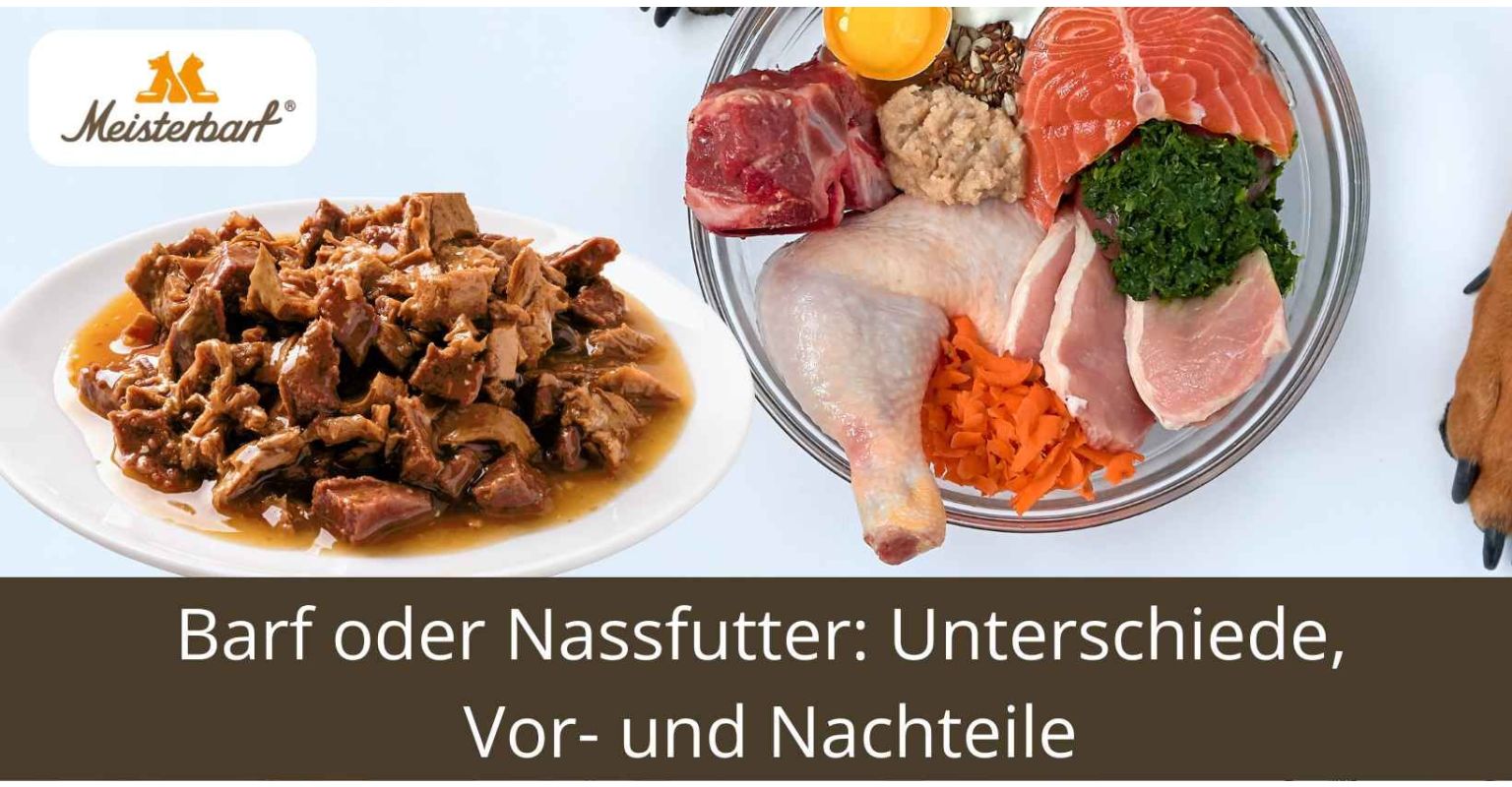 Barf oder Nassfutter: Unterschiede, Vor- und Nachteile