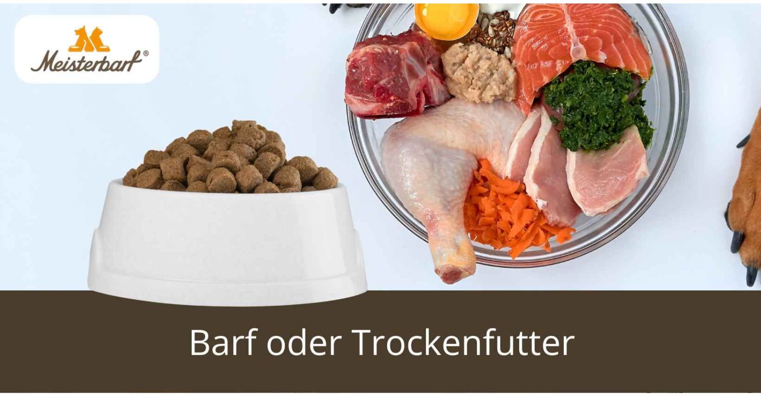 Barf oder Trockenfutter: Unterschiede, Vor- und Nachteile