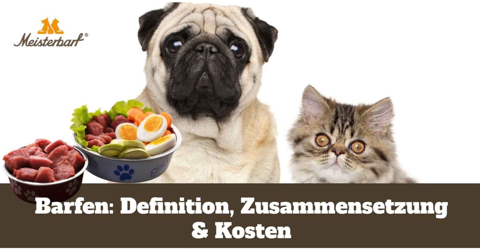 Barfen: Definition, Zusammensetzung & Kosten