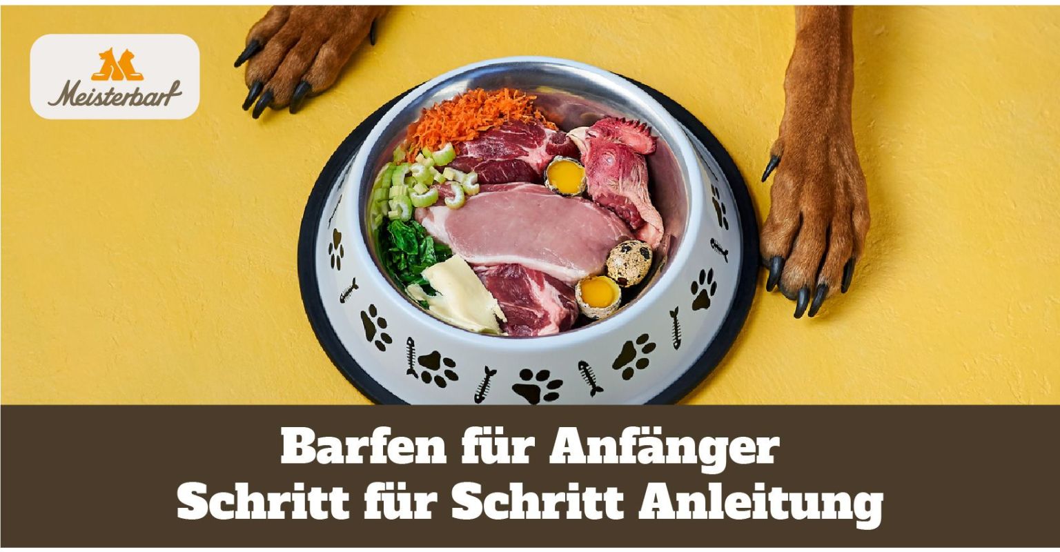 Barfen für Anfänger