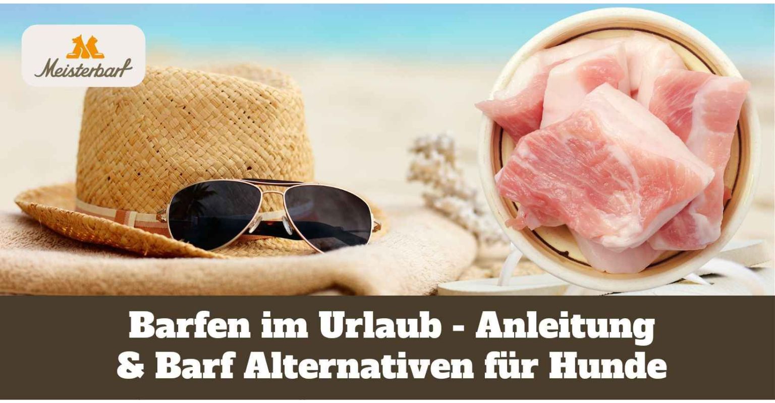Barfen im Urlaub - Anleitung & Barf Alternativen für Hunde