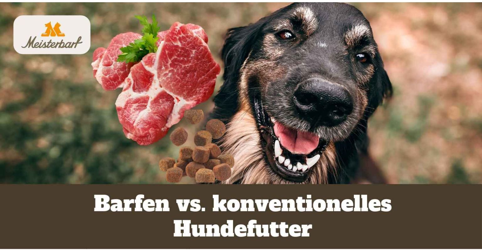 Dieses Bild zeigt Barfen vs. konventionelles Hundefutter