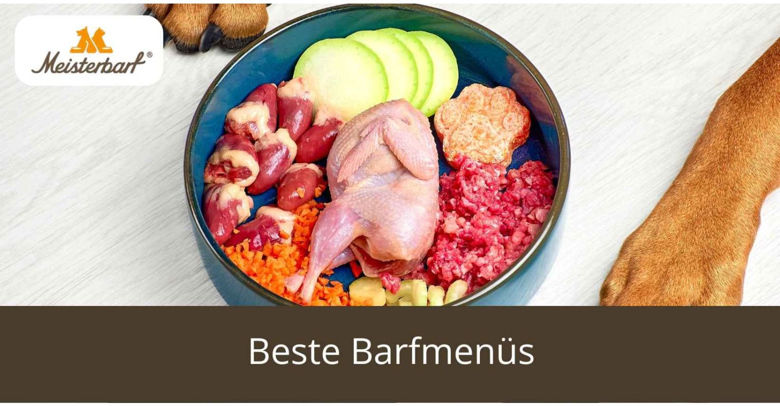 Beste Barf Menüs