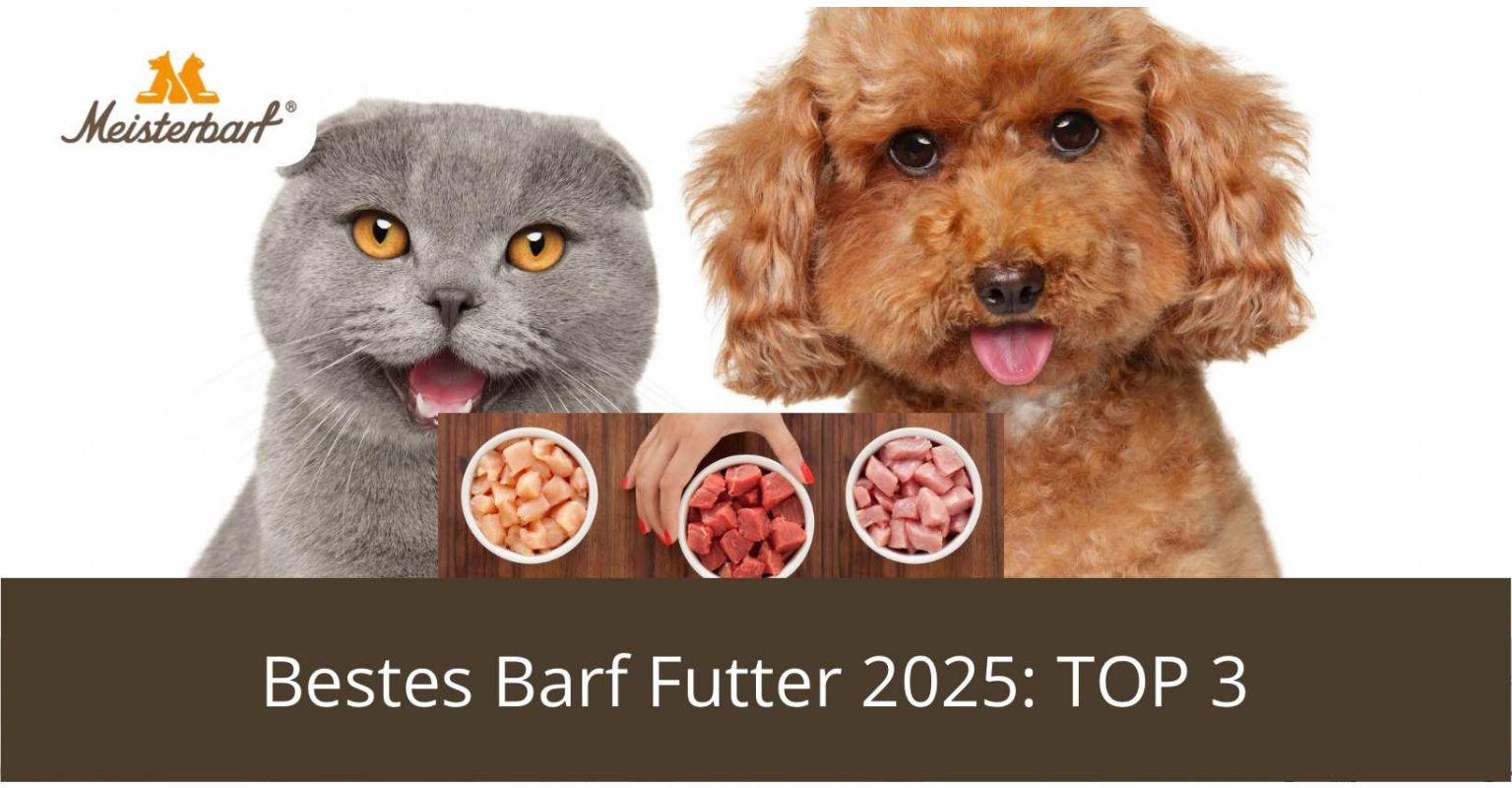 Bestes Barf Futter 2025: Top 3