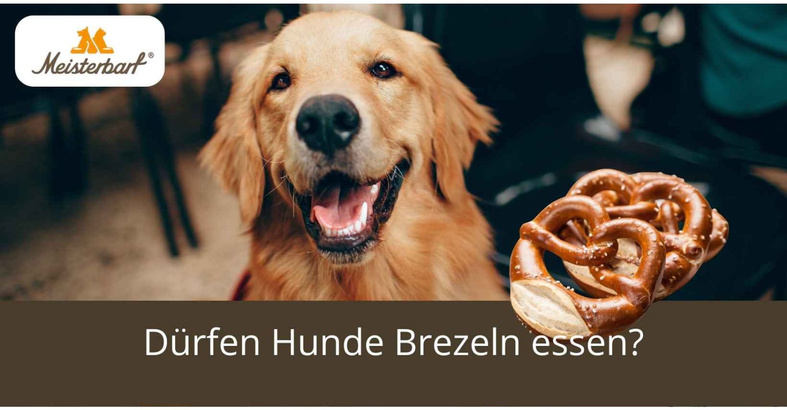 Dürfen Hunde Brezeln essen?