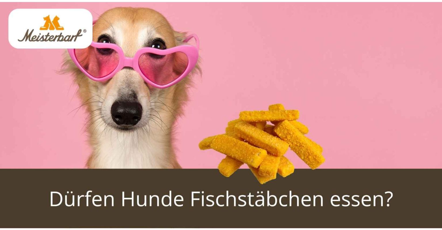 Dürfen Hunde Fischstäbchen essen?
