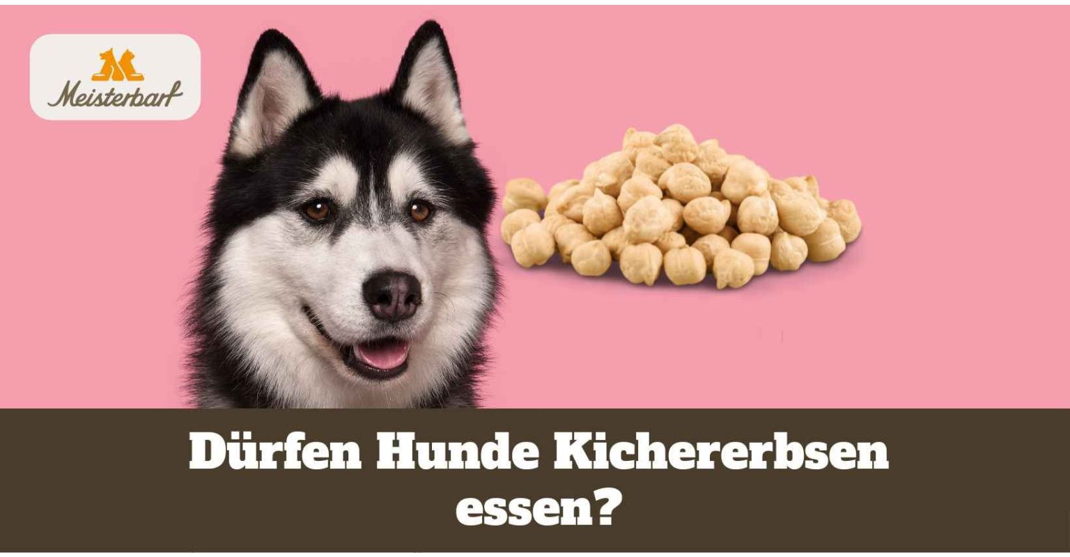 Dürfen Hunde Kichererbsen essen?