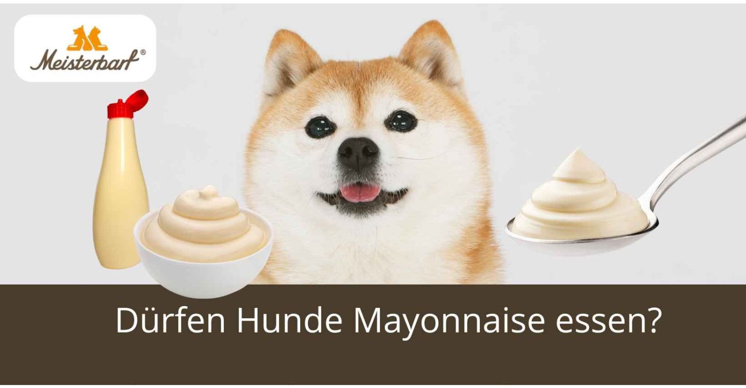 Dürfen Hunde Mayonnaise essen?