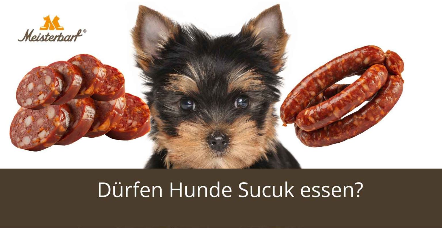 Dürfen Hunde Sucuk essen?