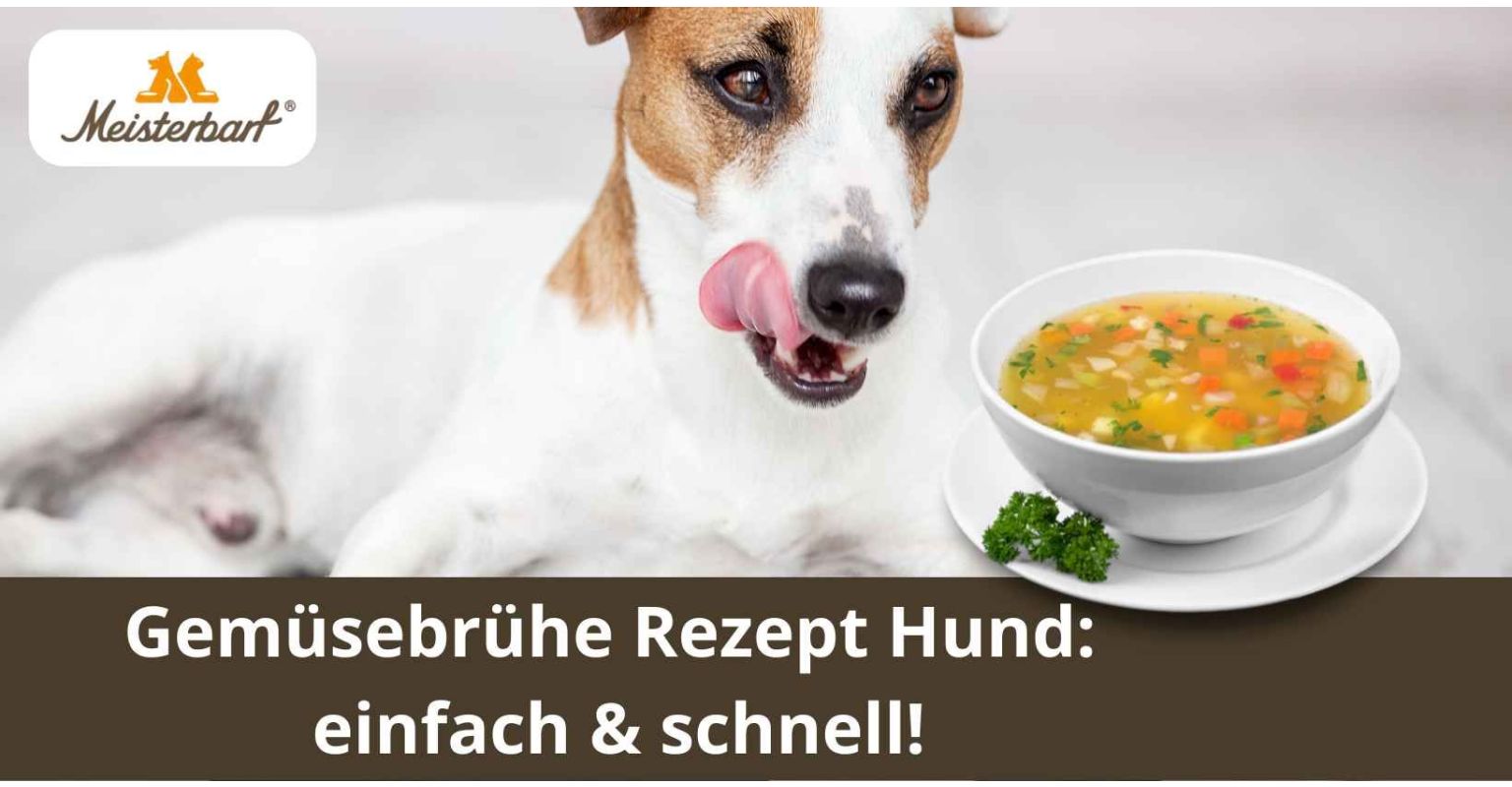Gemüsebrühe Rezept Hund: einfach & schnell!