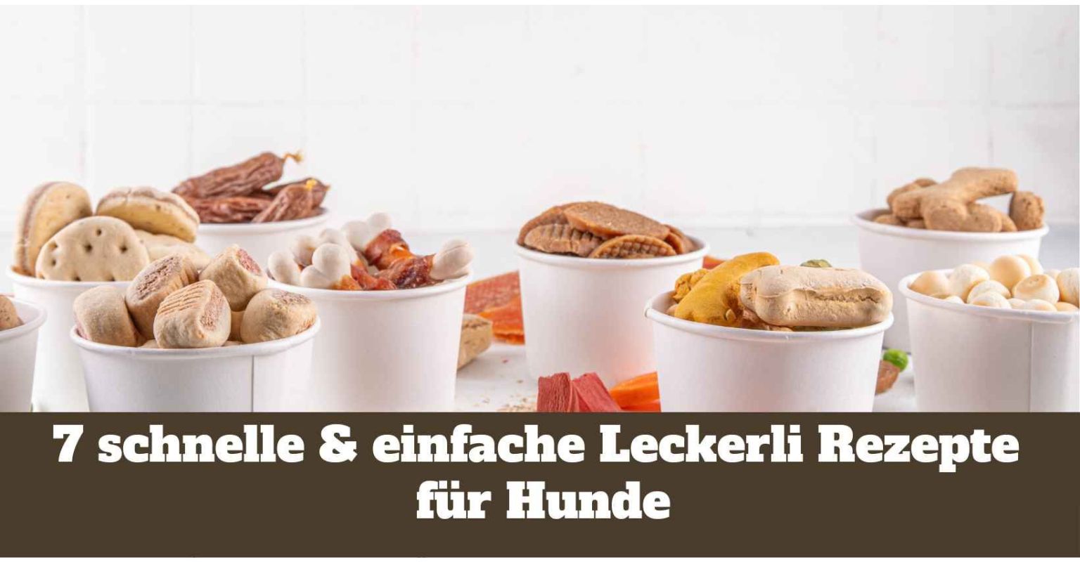 Auf diesem Bild sieht man schnelle und einfache Leckerli für Hunde.
