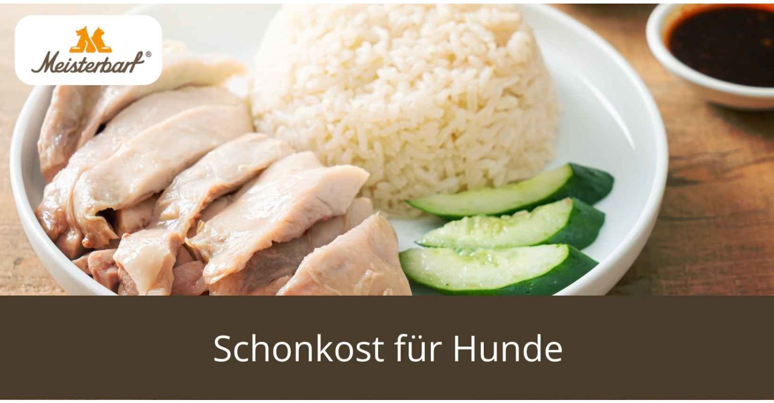 Dieses Bildd zeigt Schonkost für Hunde