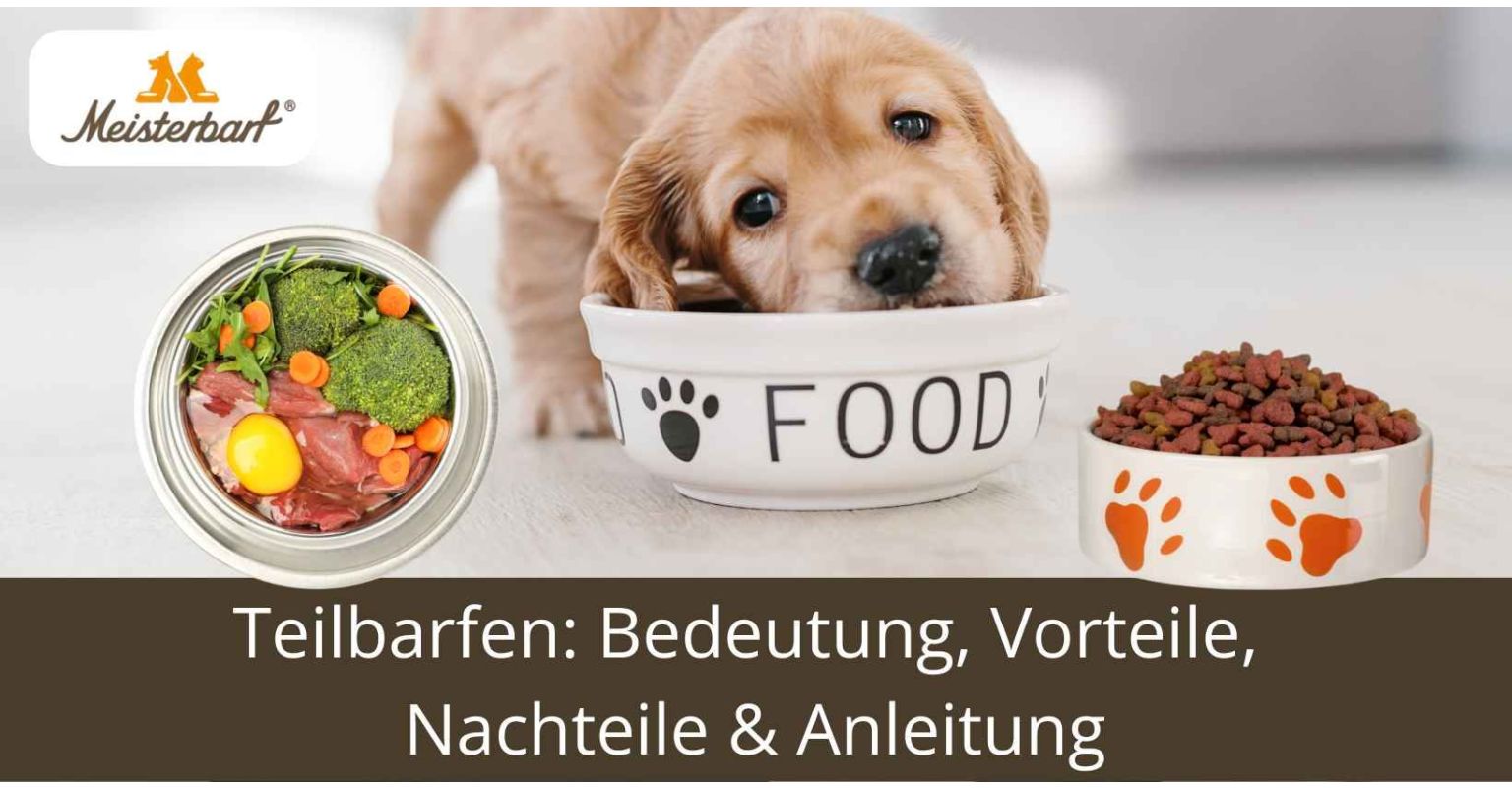 Teilbarfen: Bedeutung, Vorteile, Nachteile & Anleitung