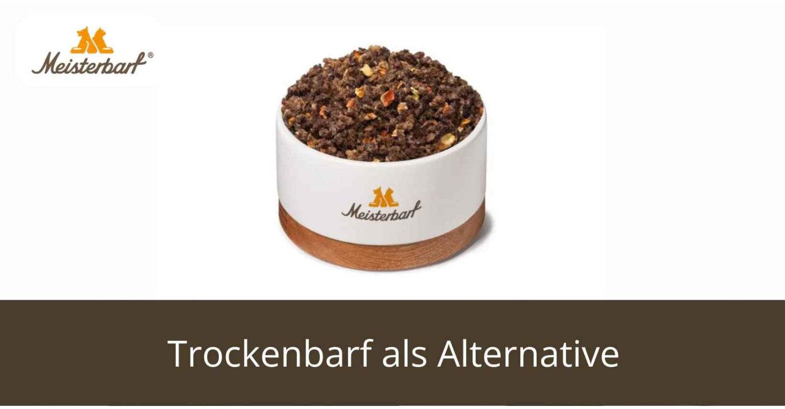 Trockenbarf als Alternative: Praktisch & ohne Kühlung