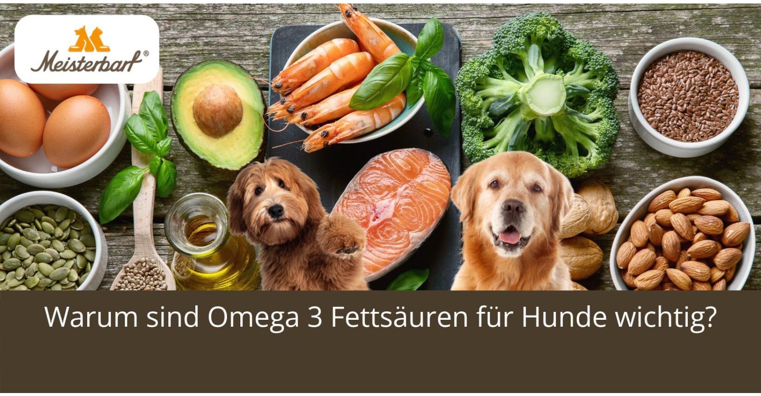 Auf dem Bild sind zwei Hunde zu sehen. Hinter den Hunden sind Lebensmittel, die Omega 3 Fettsäuren enthalten.