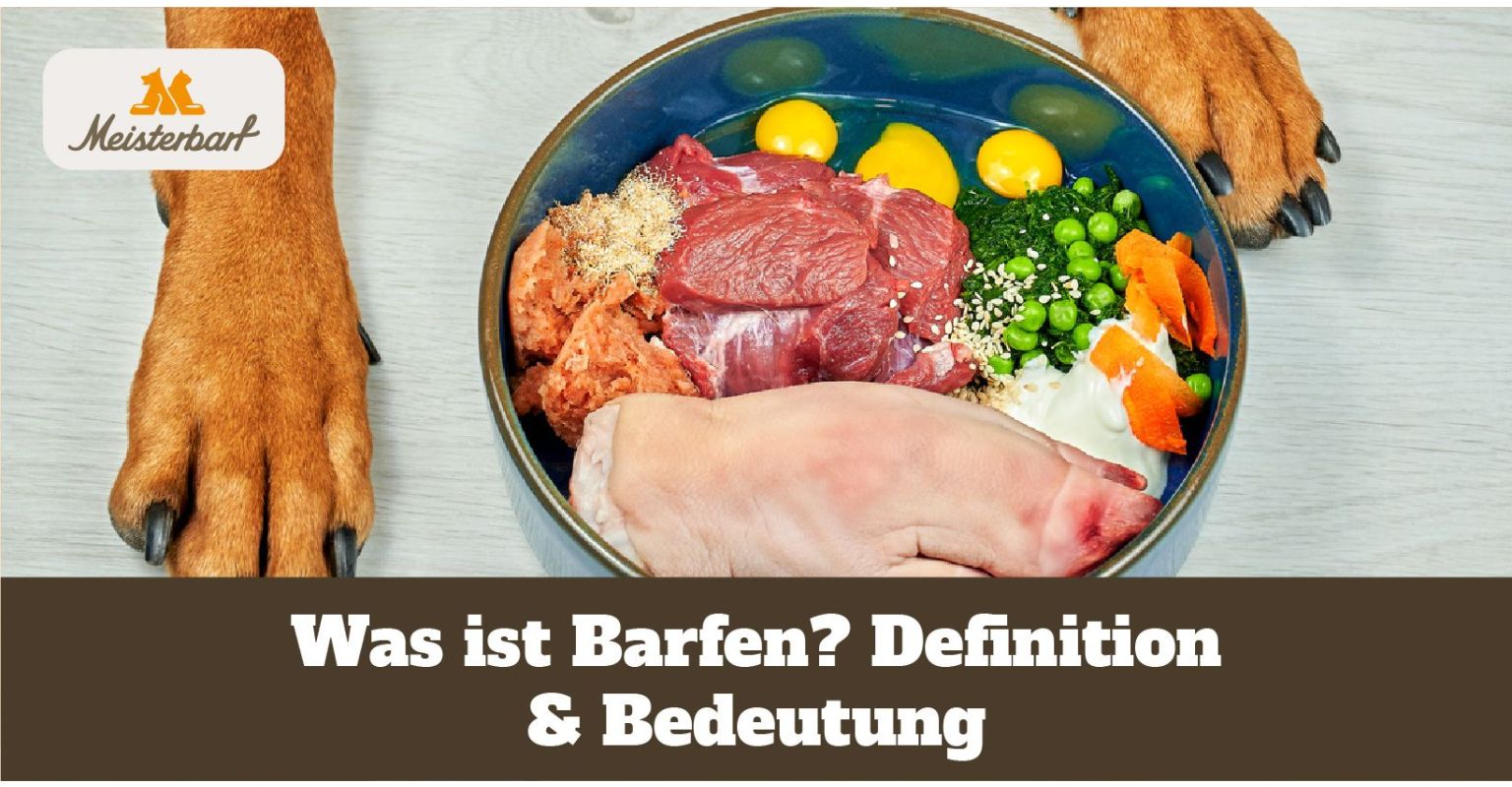 Was ist Barfen