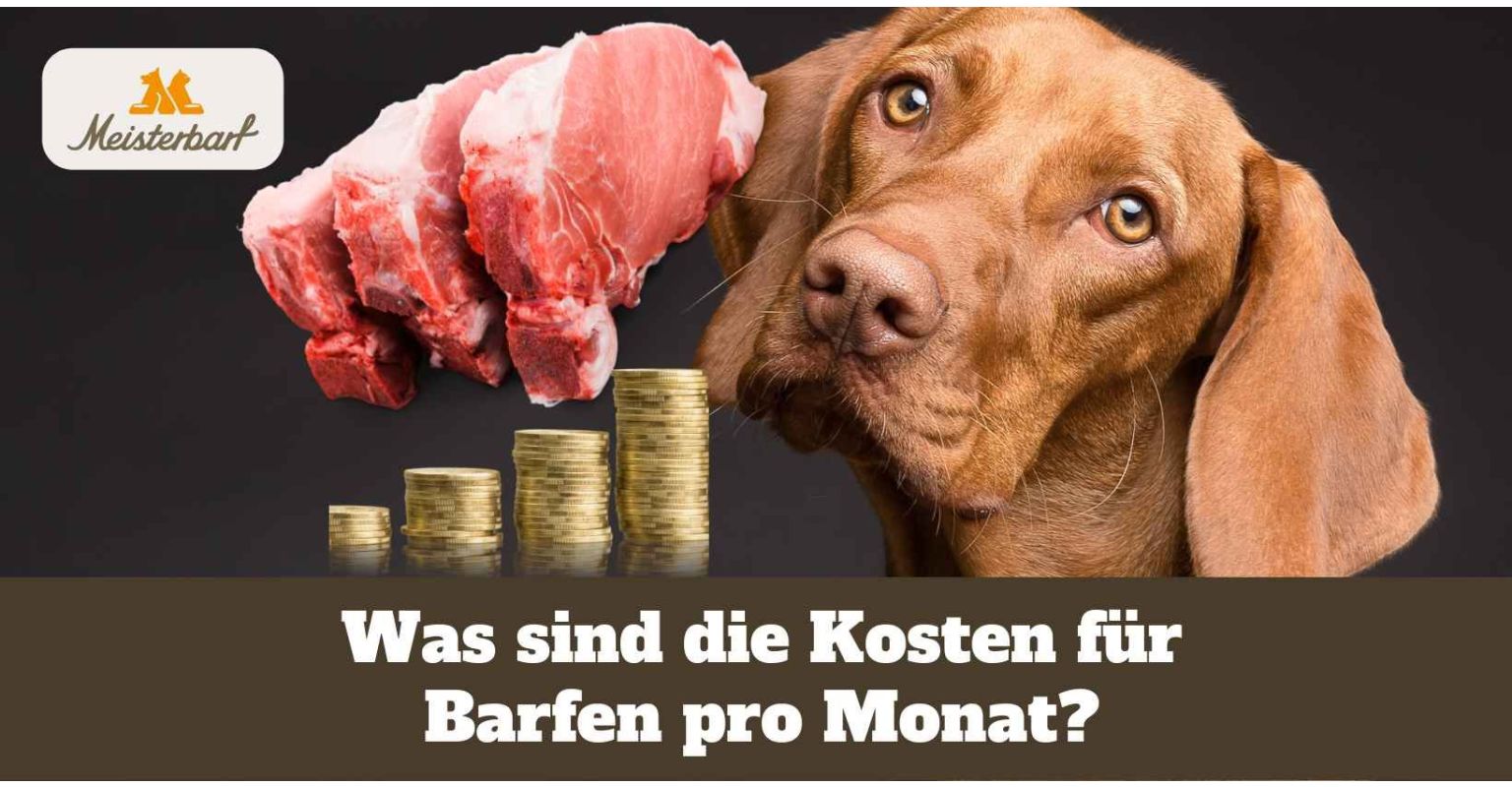 Barfen Kosten pro Monat bei Hund & Katze