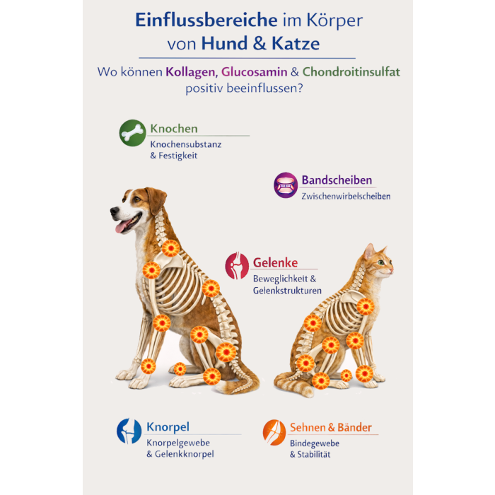 Hühnerknie fein gewolft, 250 g Hühnerknie fein gewolft, 250 g