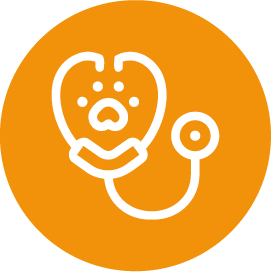 Doctor_orange