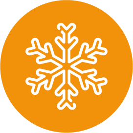 Frozen_orange_1