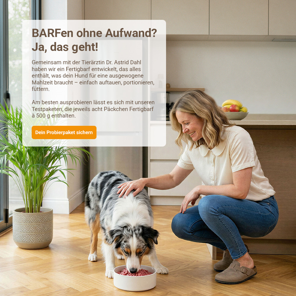 Headerbild_Probierpaekt_Fertigbarf_mobil