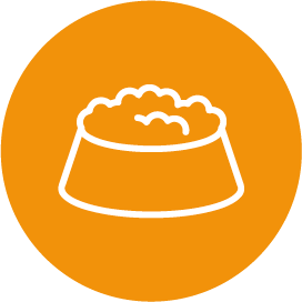 Napf_voll_orange