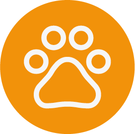 Paw_orange